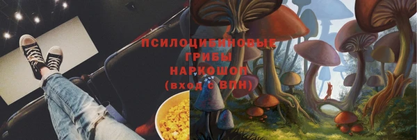 молекула духа Верея